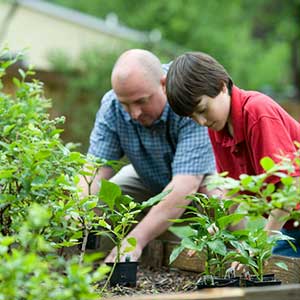 A close-knit community of growers