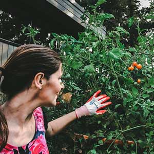 Expert Tips and Resources at Winona horticultural Society